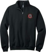 Palmyra Black Knights NuBlend 1/4-Zip Cadet Collar Sweatshirt