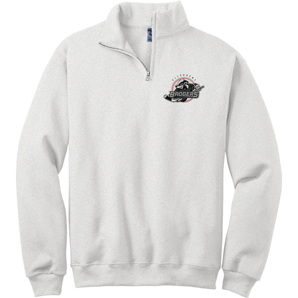 Allegheny Badgers NuBlend 1/4-Zip Cadet Collar Sweatshirt