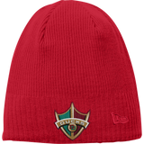 Delaware Ducks New Era Knit Beanie