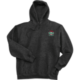 Wash U Ultimate Cotton - Pullover Hooded Sweatshirt