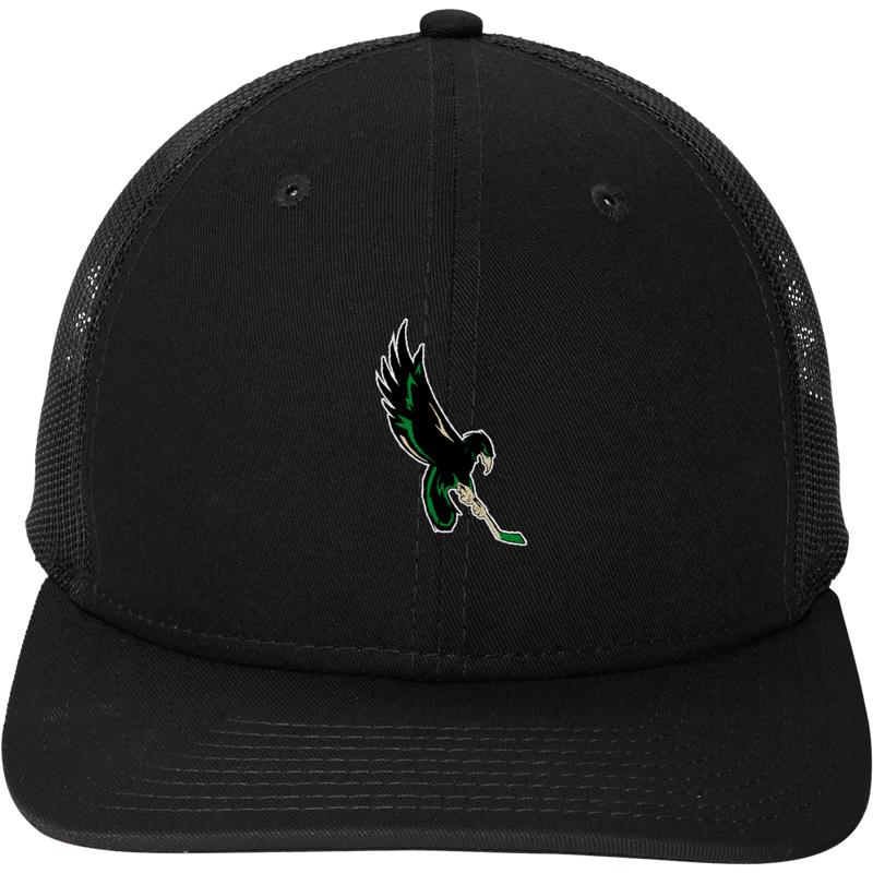 Wilmington Nighthawks New Era Snapback Low Profile Trucker Cap