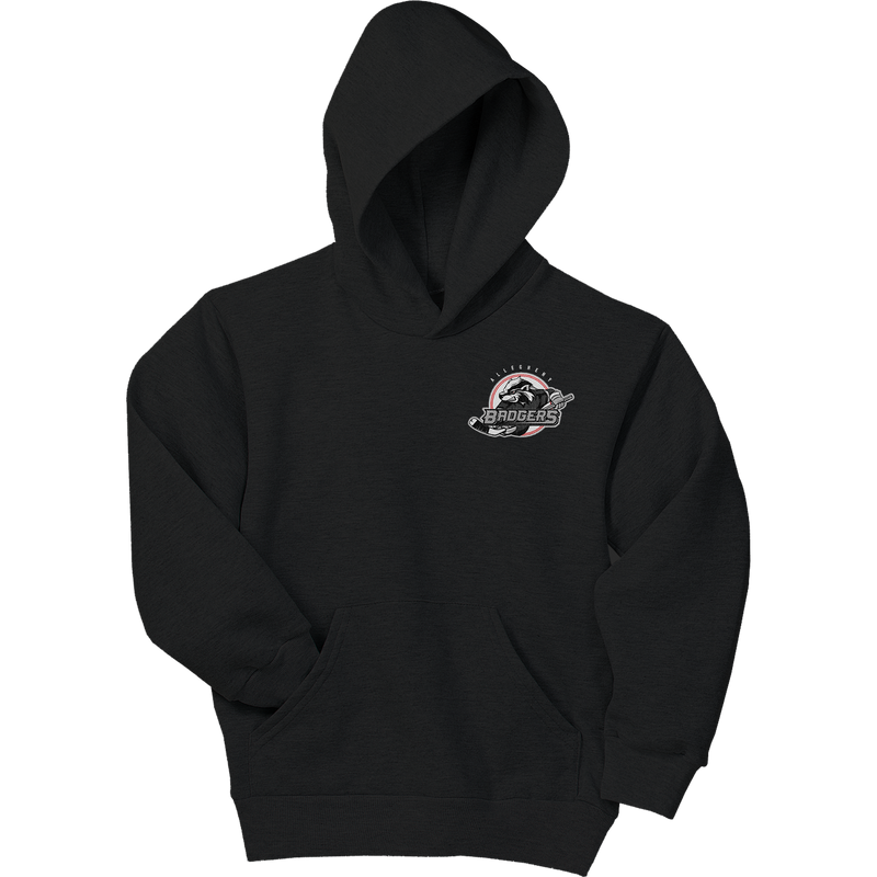 Allegheny Badgers Youth EcoSmart Pullover Hooded Sweatshirt