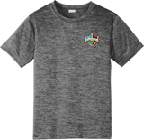 Delaware Ducks Youth PosiCharge Electric Heather Tee